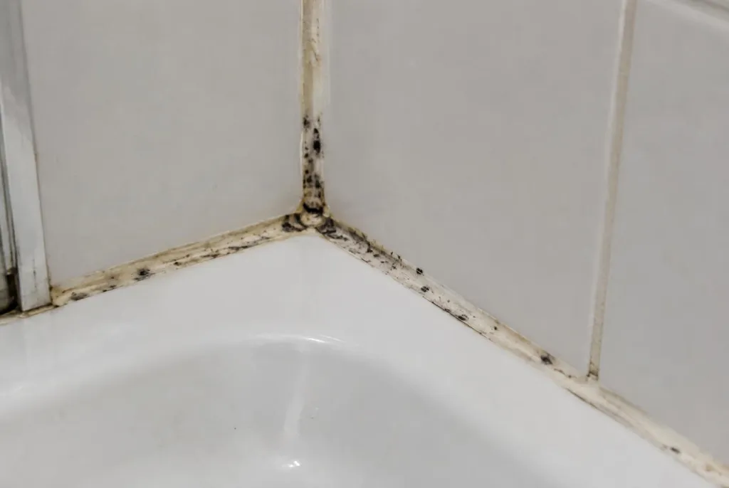 Kitbedrijf Uitgeest – beschimmelde kitranden